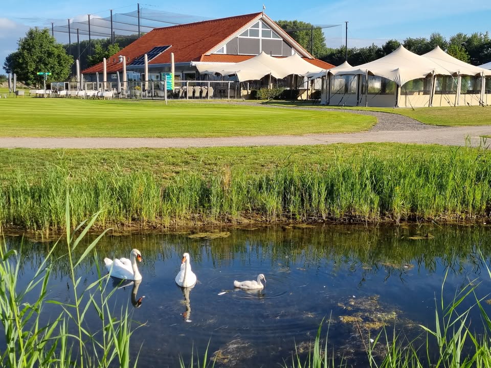 Nieuwjaarsreceptie 2026